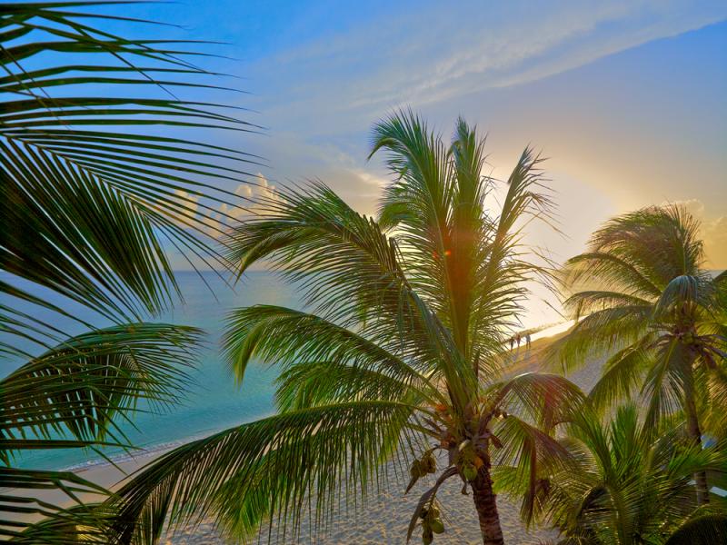 Crowsnest Villa- Beachfront , Beachfront villas Barbados , Christ Church , South Coast Barbados , St Michael 