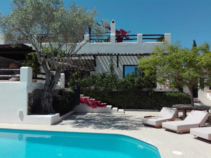 Can Gerbera , Central , East 