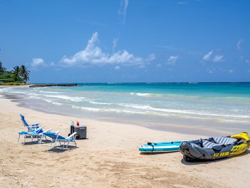 Reverie , Mammee Bay 