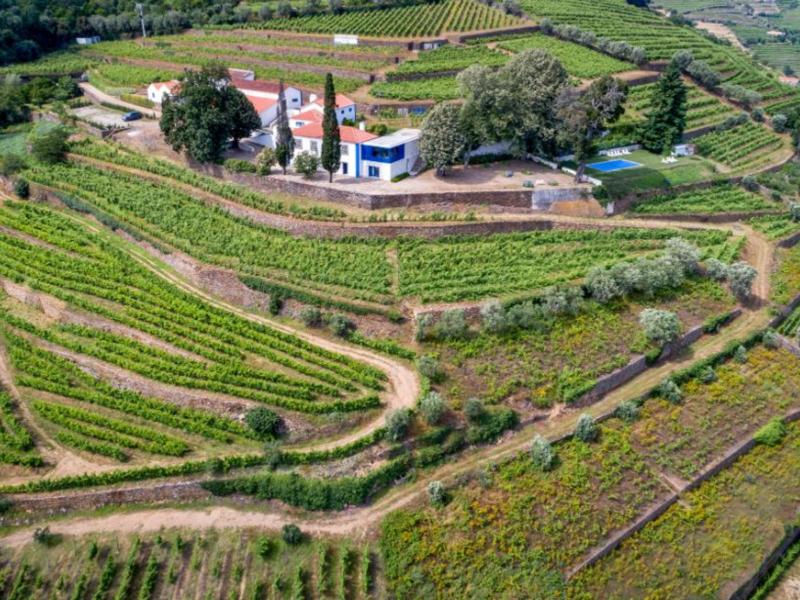 Quinta Durius , Douro 
