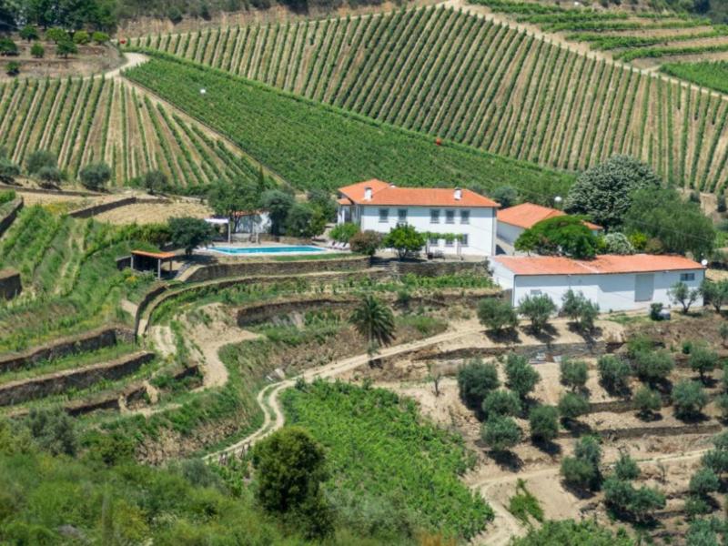 Villa Riotorto , Douro 