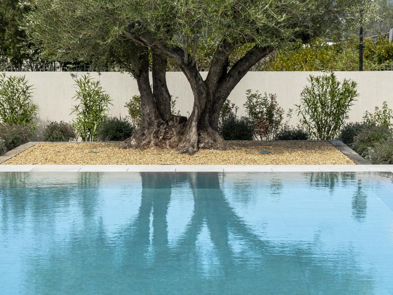 Villa Pivoine , Cote D'Azur 