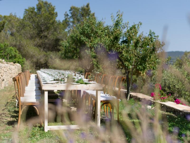 Can Harley , San Antonio 