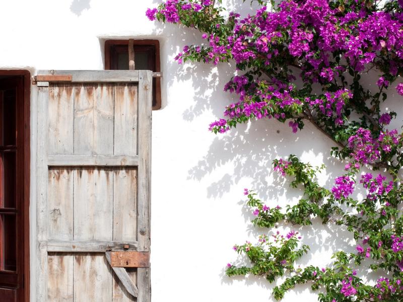 Can Xarraca , Portinatx 