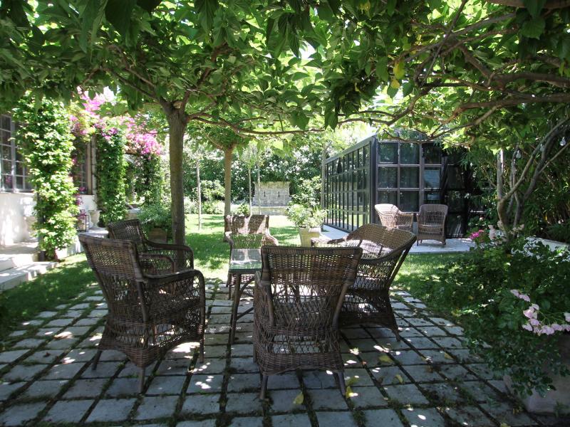 Rose du Cap , Cote D'Azur 