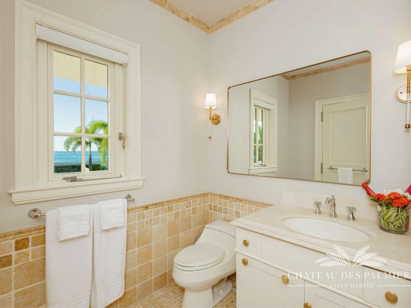 Le Chateau des Palmiers , Terres Basses 