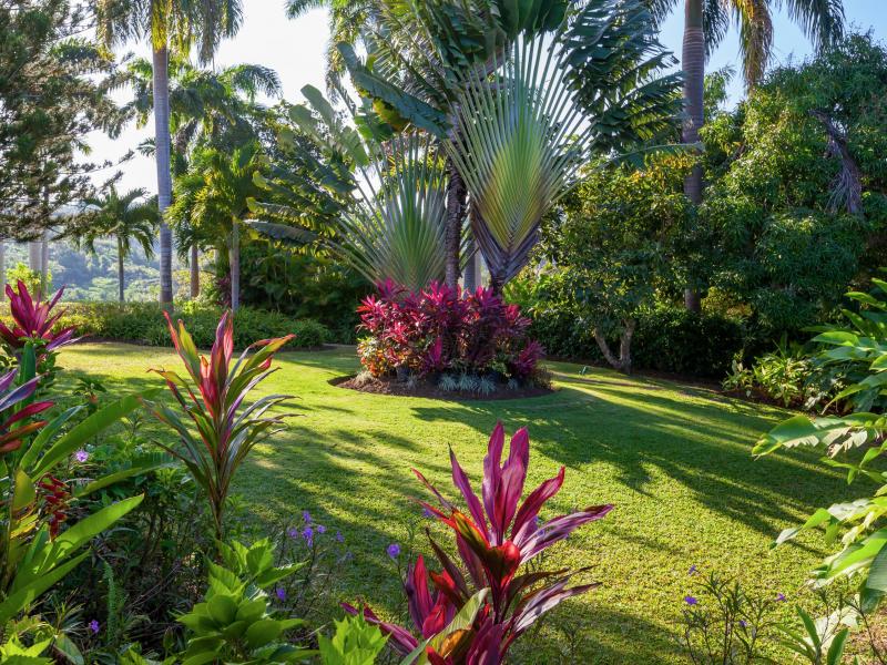 Little Hill , Montego Bay , Tryall 