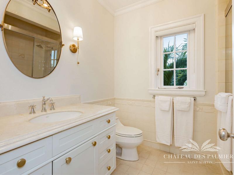 Le Chateau des Palmiers , Terres Basses 