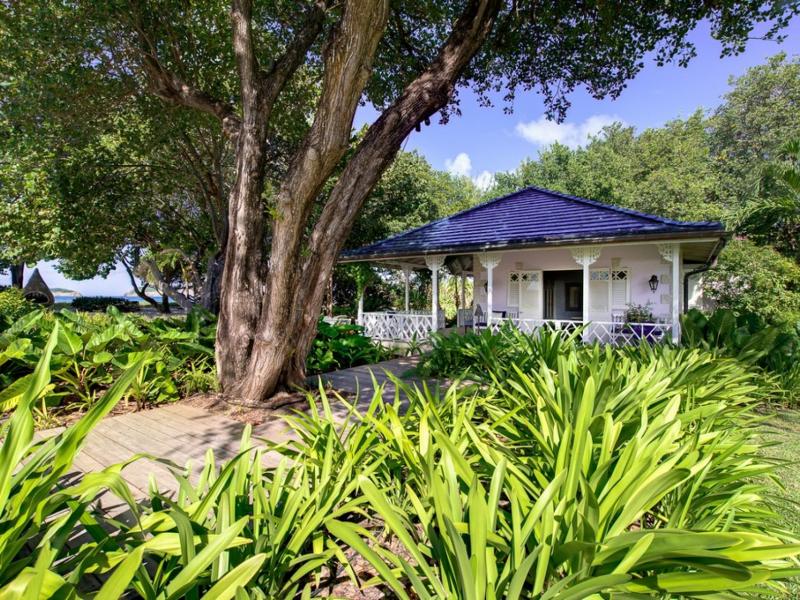 Jacaranda , L'Ansecoy Bay 