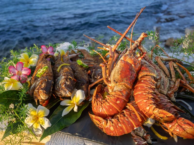 Karma Bay , Montego Bay 