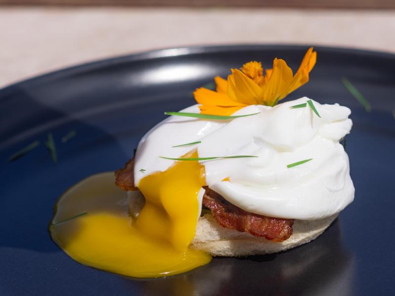 Karma Bay , Montego Bay 