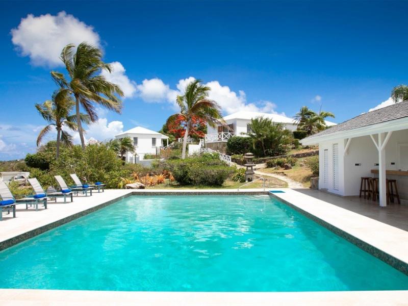 Libellule , Terres Basses 