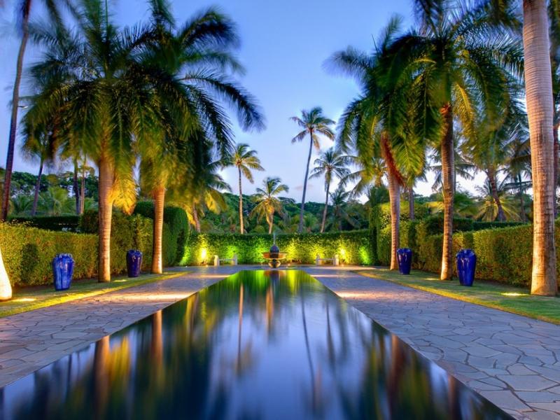 Jacaranda , L'Ansecoy Bay 