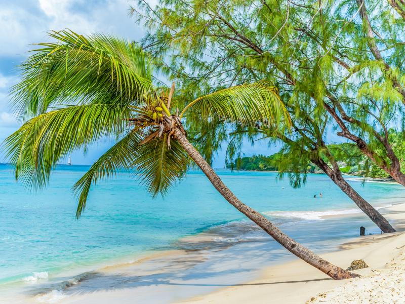 Porters Court 3 , Porters , St James , West Coast Barbados 