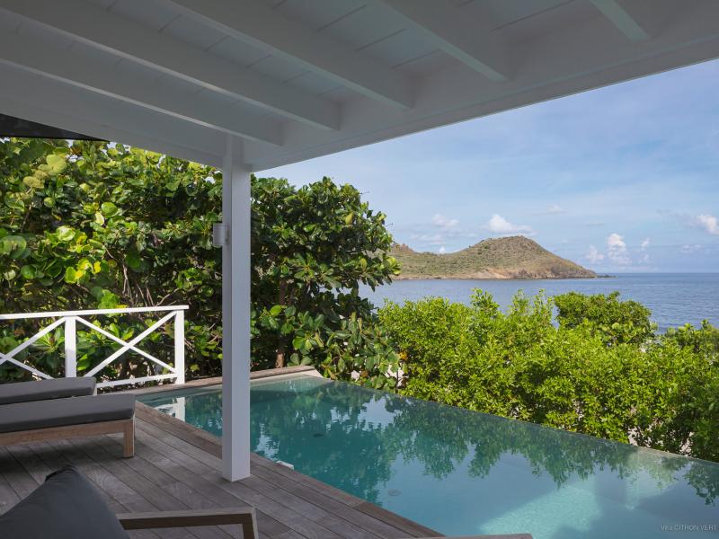 Petit Citron Vert , Toiny 